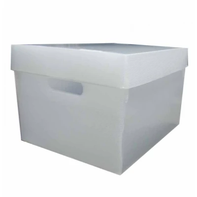 Caixa Organizadora M Branca