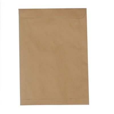 Envelope Kraft 41 310x410